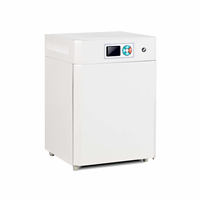 电热恒温培养箱DHP-9162(160L)