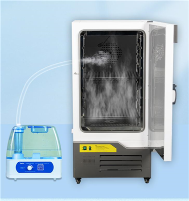 恒温恒湿培养箱LHS-600SC(600L)